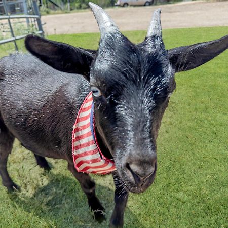 فندق Lucky Star Ranch - Stargazer Tarpley المظهر الخارجي الصورة