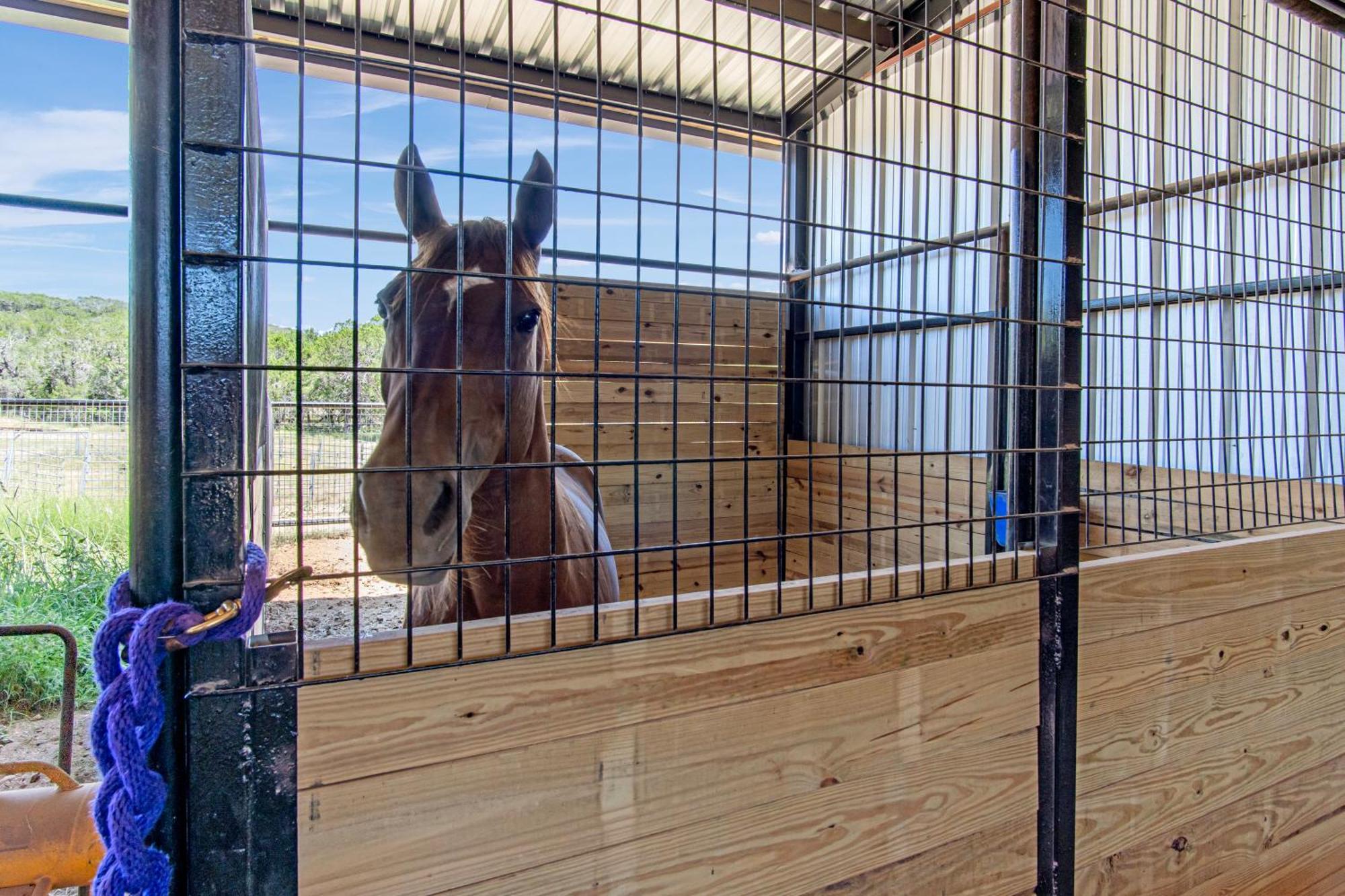 فندق Lucky Star Ranch - Stargazer Tarpley المظهر الخارجي الصورة
