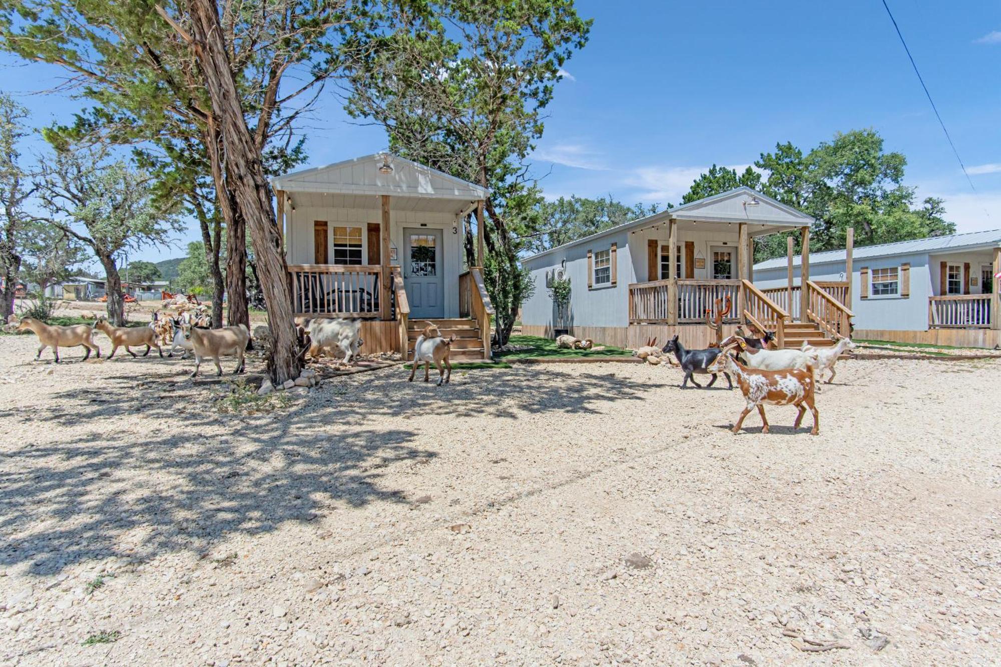 فندق Lucky Star Ranch - Stargazer Tarpley المظهر الخارجي الصورة